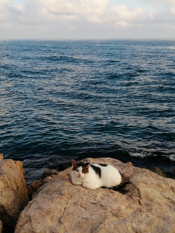 Sitges braakwater