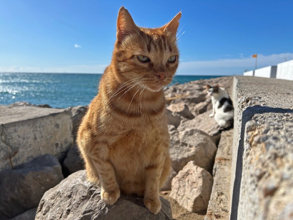 Sitges day trip