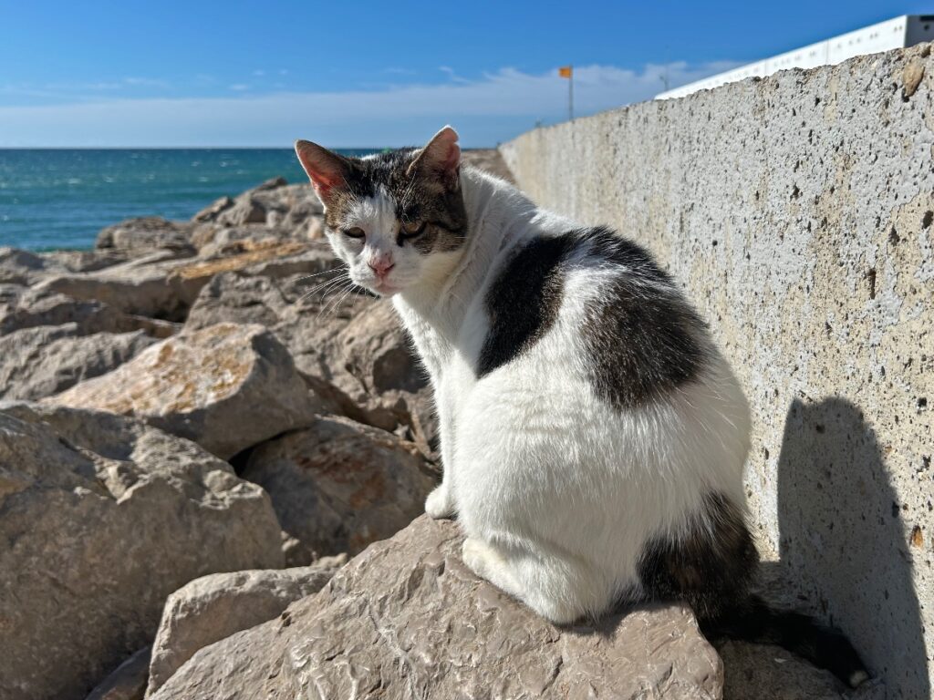 Sitges tour