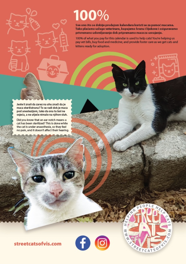 cats of vis