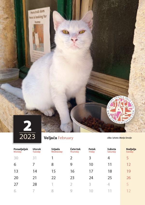 vis cats