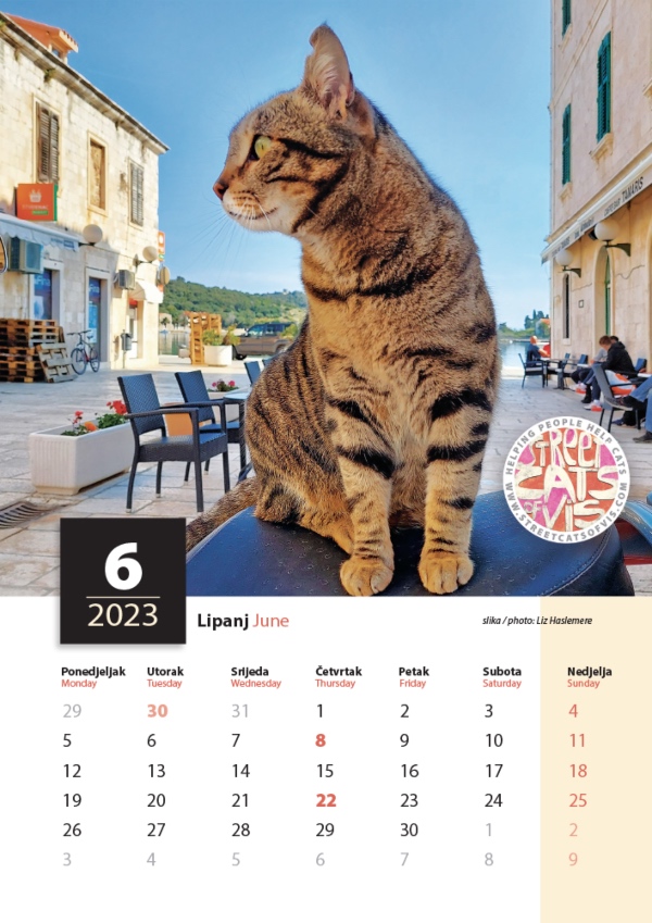 vis Croatia