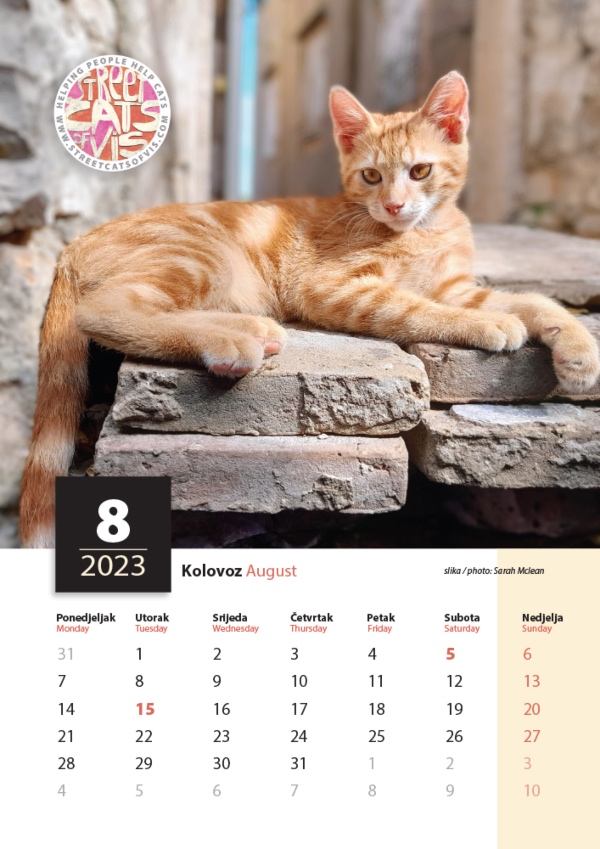 vis street cats