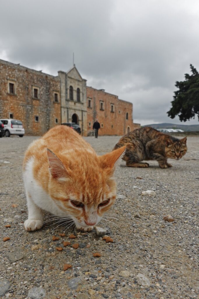 monastery crete rethymnon