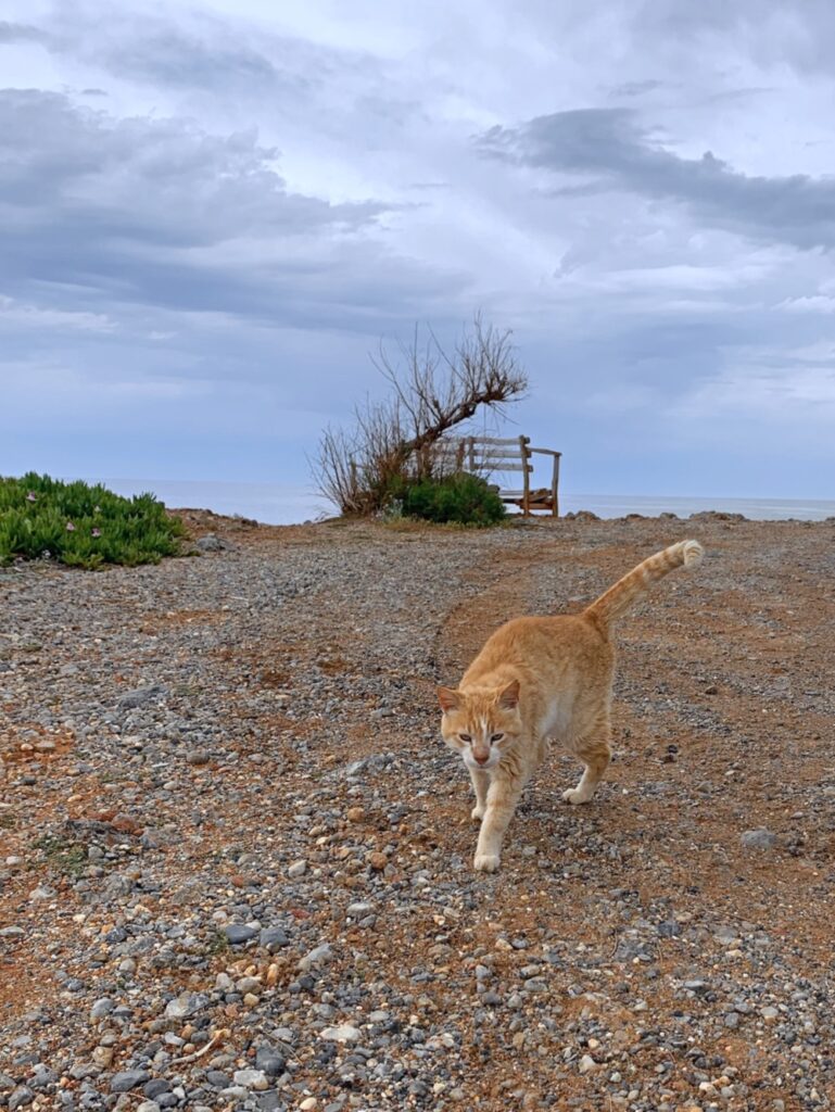 Sissi beach
