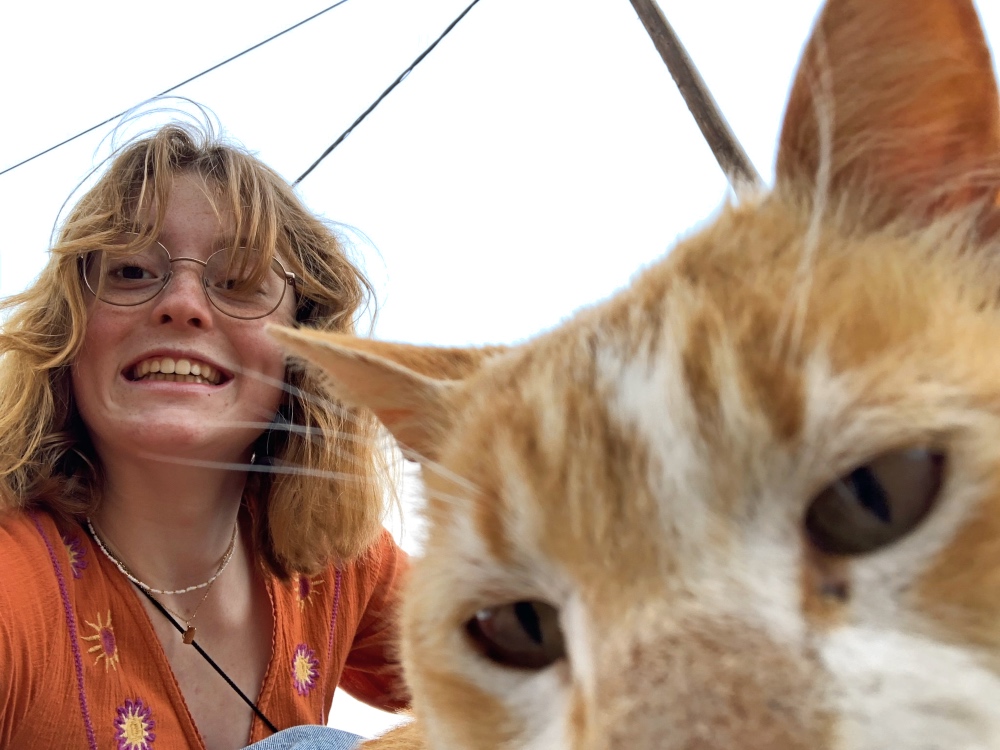 cat selfie