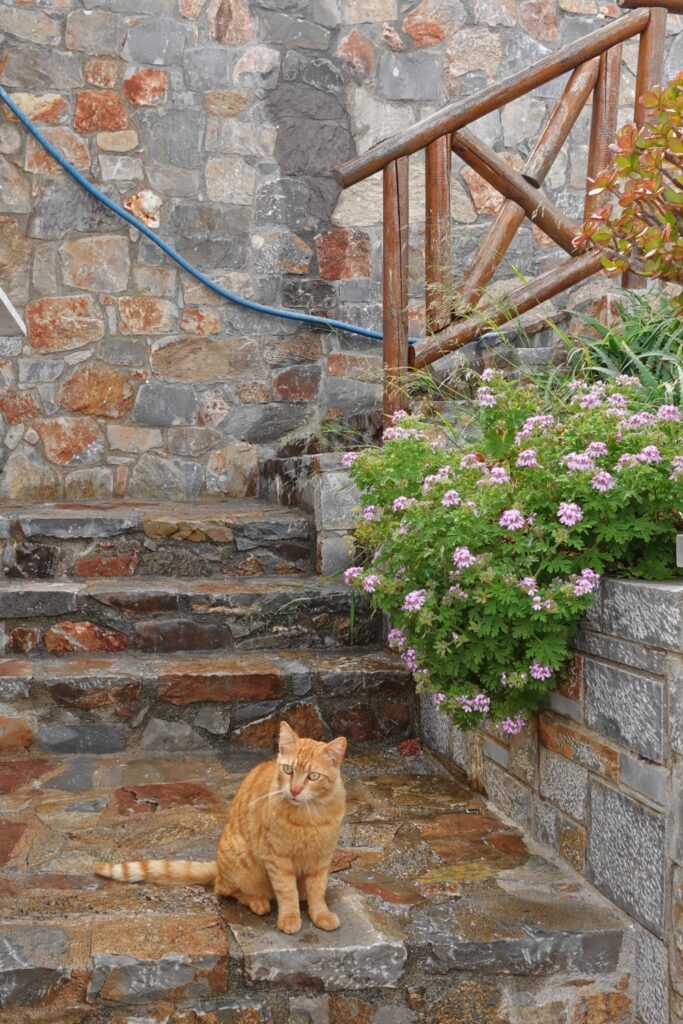 day trips from Sissi Crete