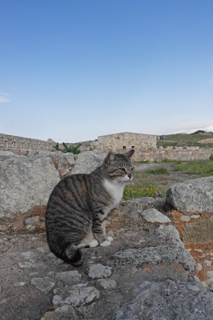 Fortezza Rethymnon