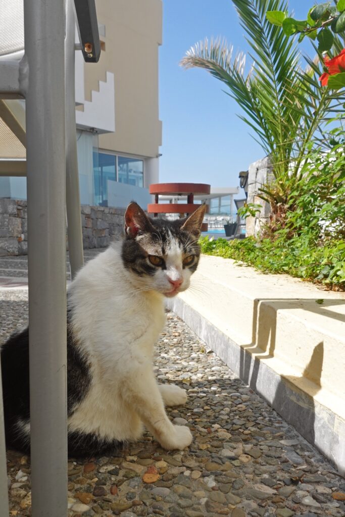 Sissi Crete hotel