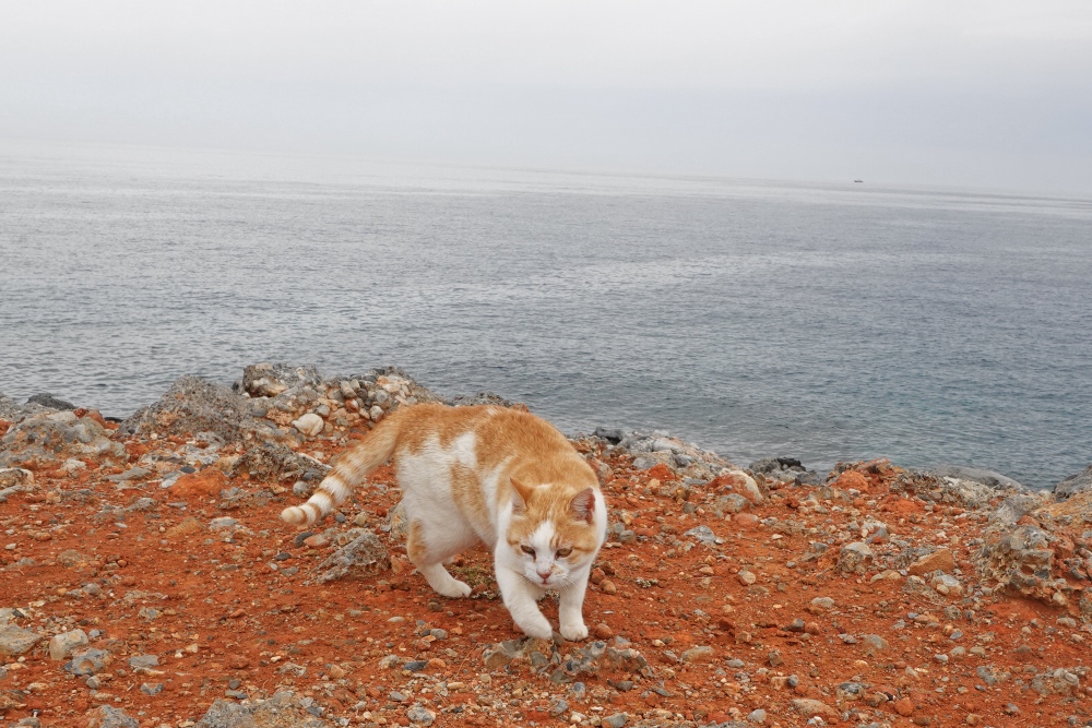 Sissi beach