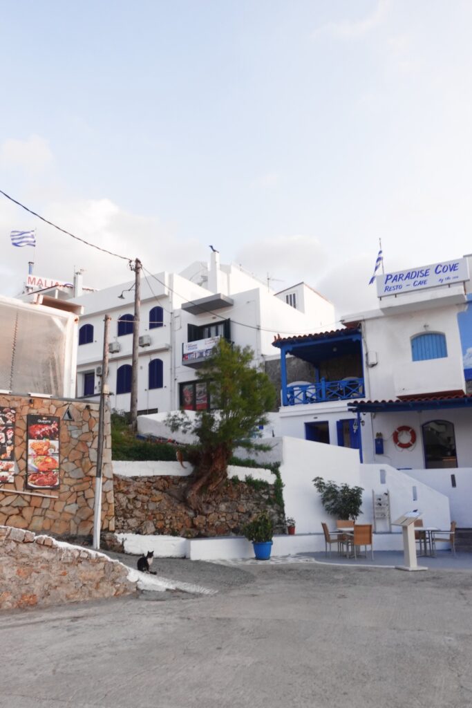 Sissi Paradise Cove