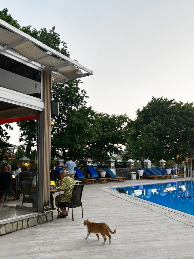 Başar Hotel Dalyan