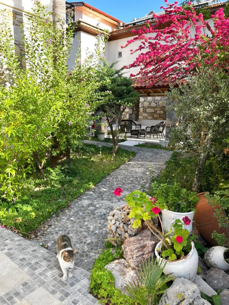 Başar Hotel in Dalyan Ortaca