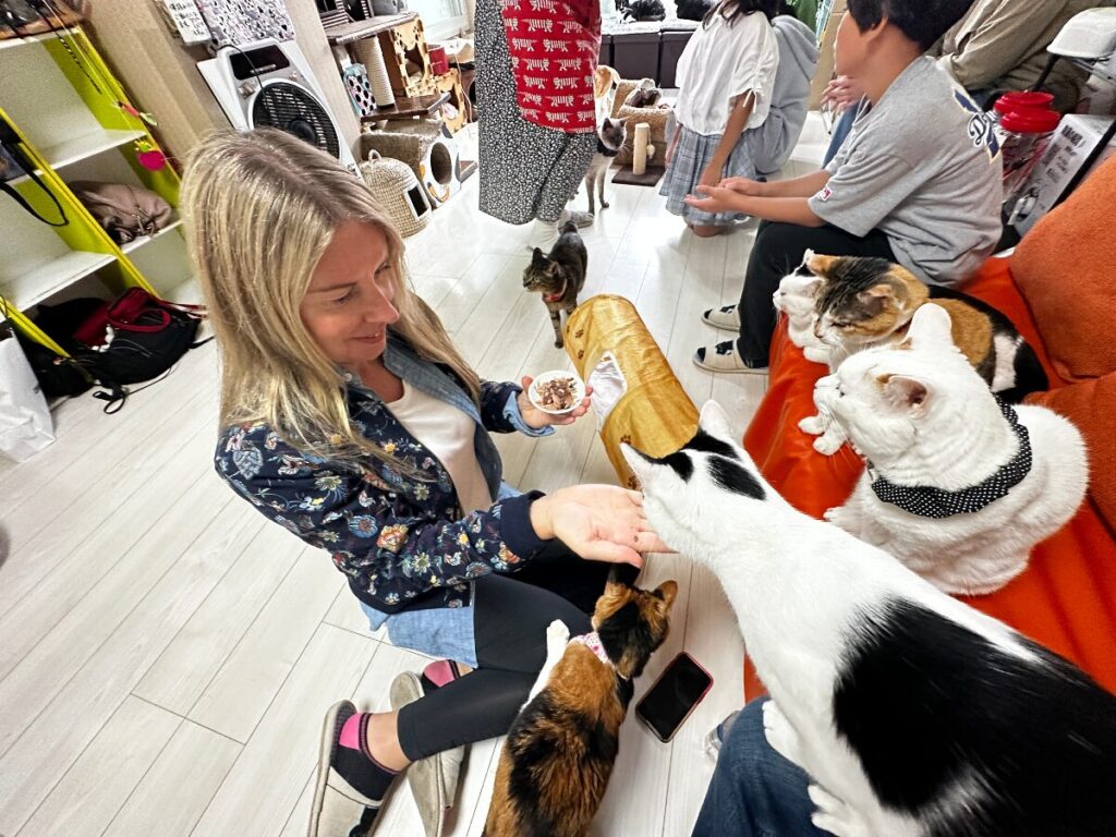 Cat Cafe Asakusa Neko-En