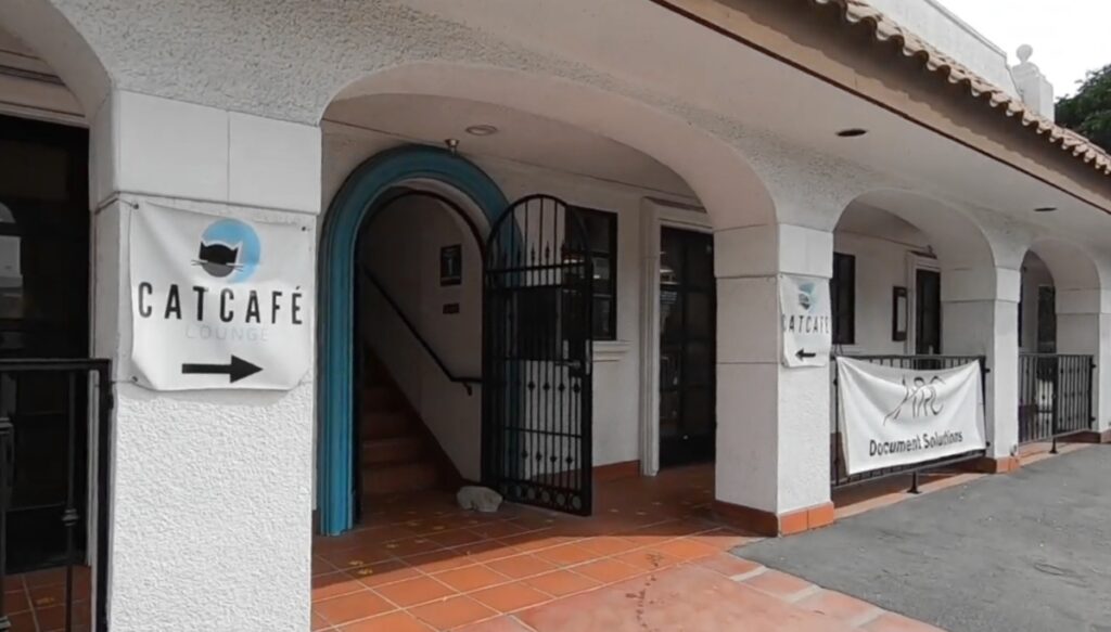 Cat Cafe Lounge in Los Angeles