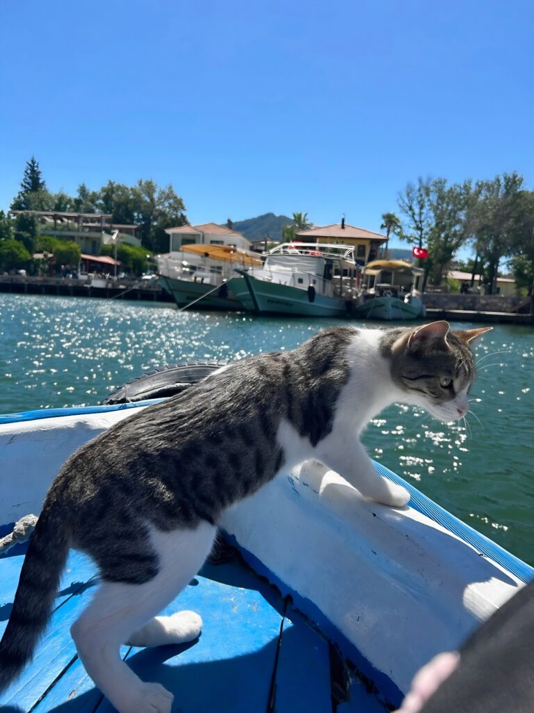 Dalyan ferry