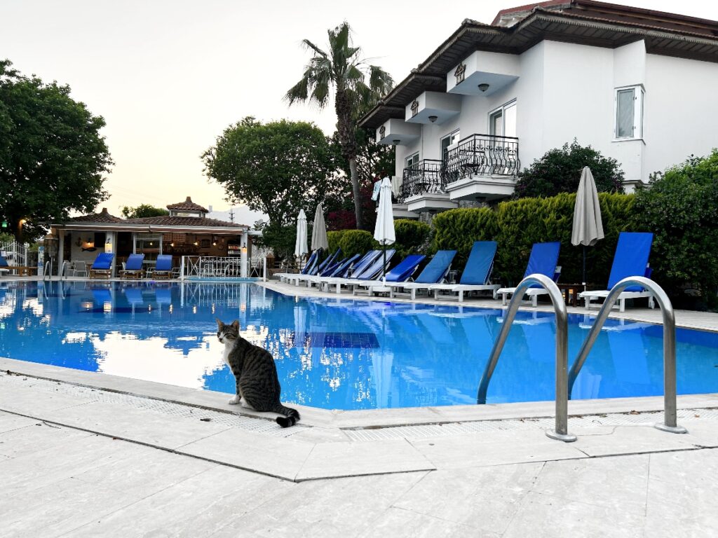 Basar Hotel in Dalyan