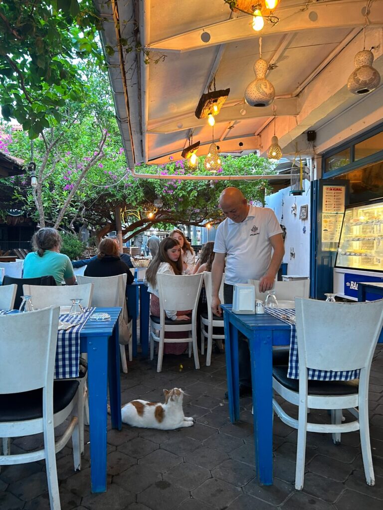 Dalyan restaurant Balikçim