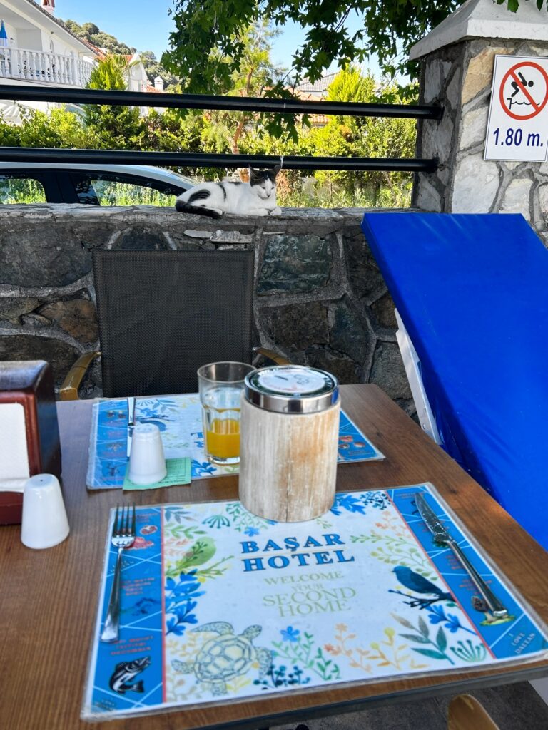 Başar Hotel Turkey