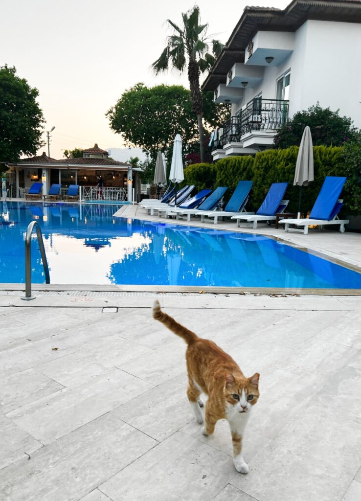 boutique hotel in Dalyan