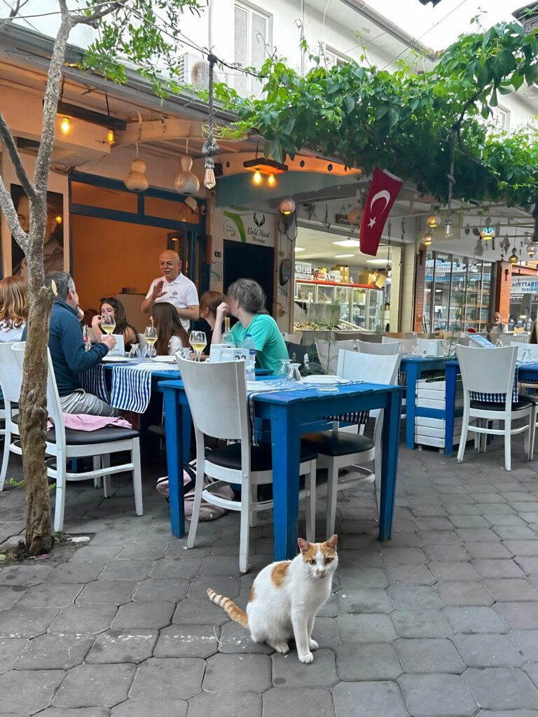 Dalyan best restaurant