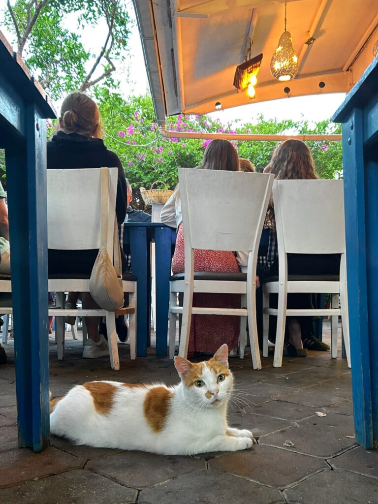 fish restaurant Balikçim in Dalyan