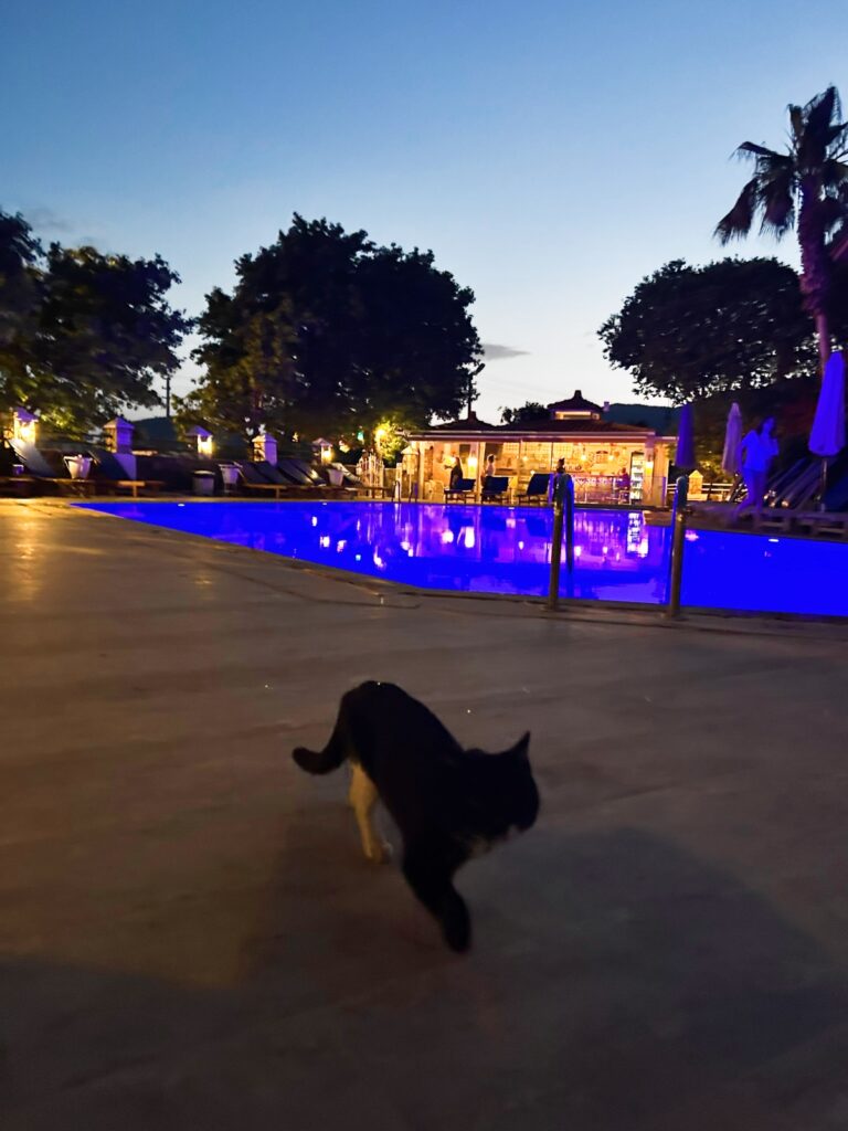 hotel with swimming pool in Dalyan