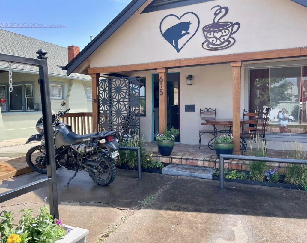 Comfort and Joy Cat Cafe in Colorado Springs