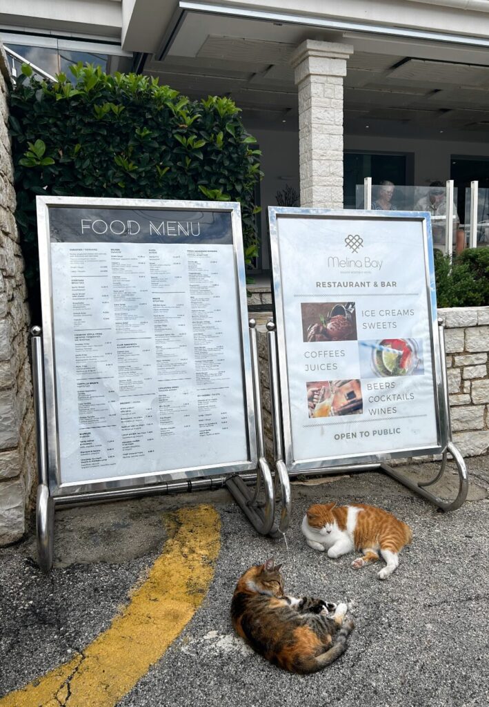 cats near the restaurant Melina Bay in Kassiopi