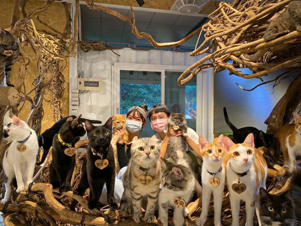The owners of Cat Valley Taipei and their cats
