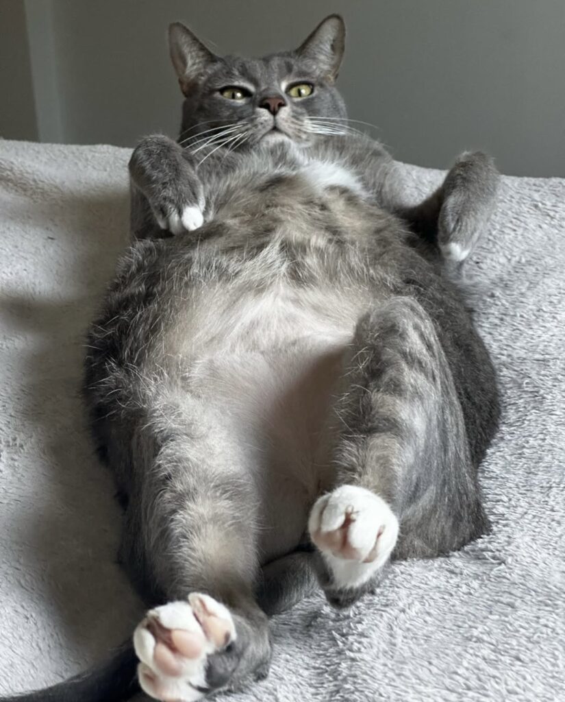 practicing doing nothing