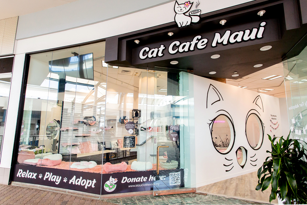 Cat Cafe Maui