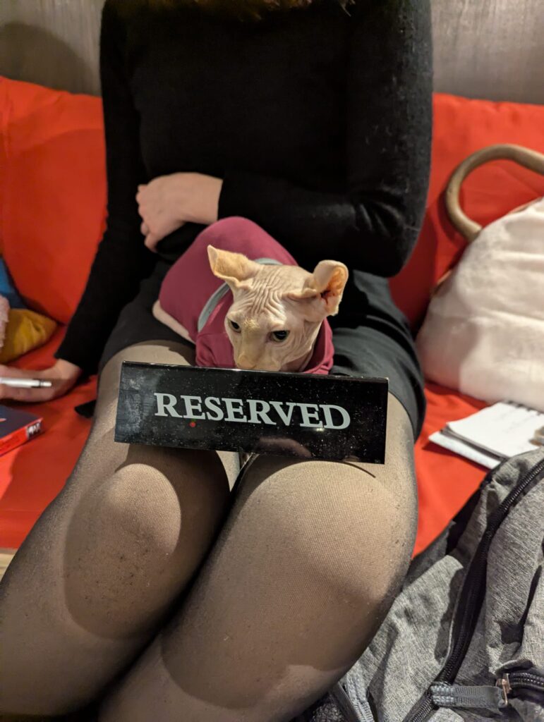 reserved cat