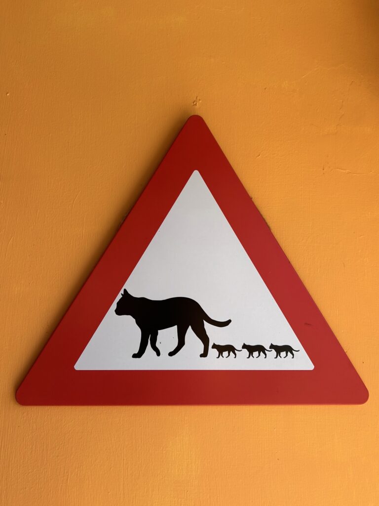 Cats Crossing sign