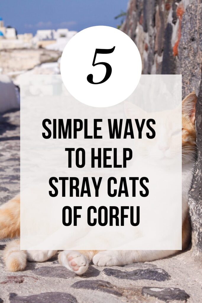 ways to help stray cats on Corfu Island