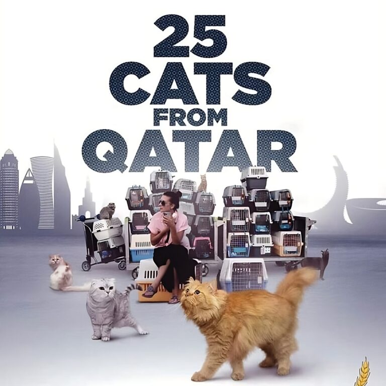 25 Cats From Qatar