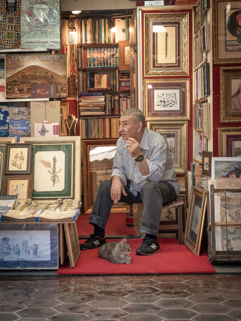 Istanbul antique shop