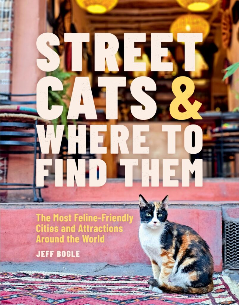 Street Cats and Where to Find Them