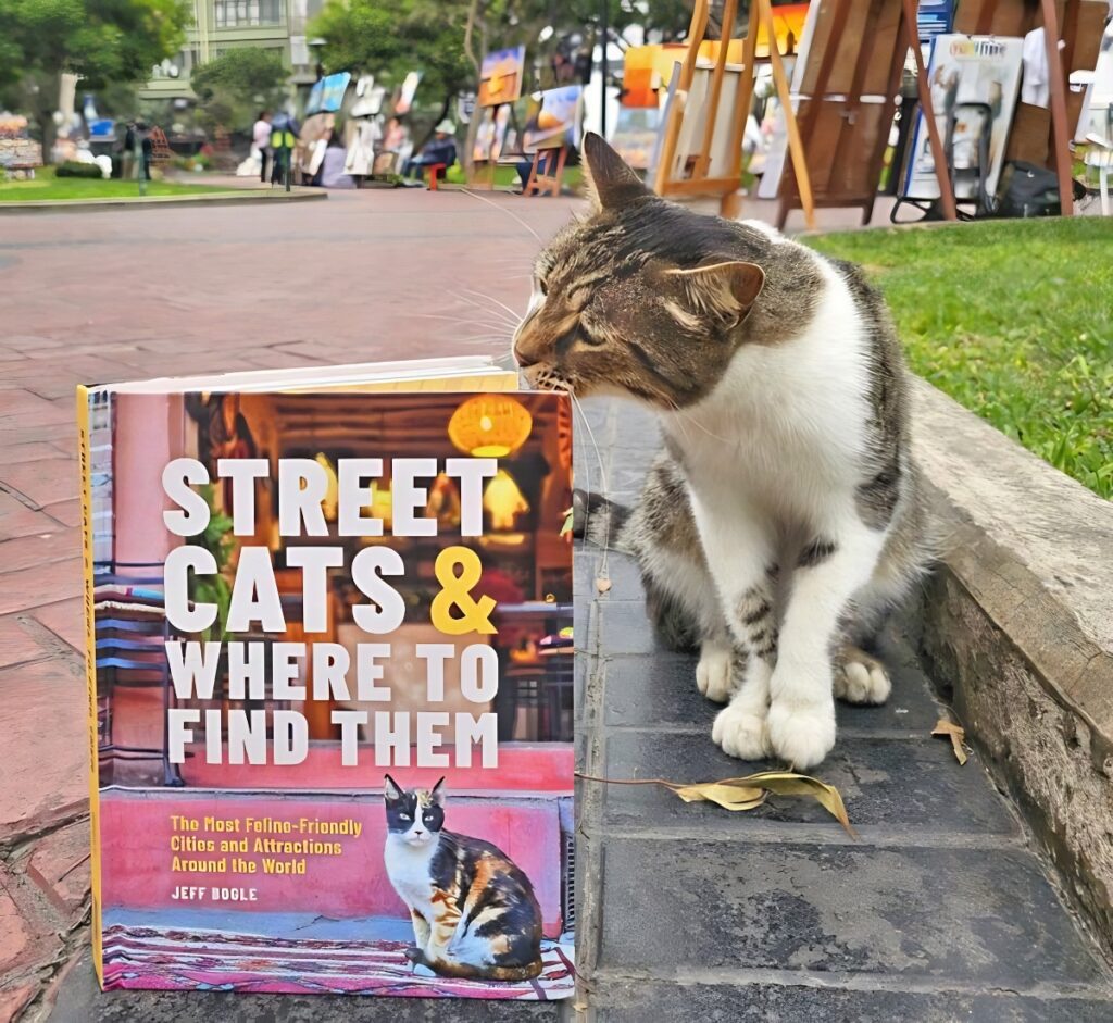 Street Cats and Where to Find Them Jeff Bogle
