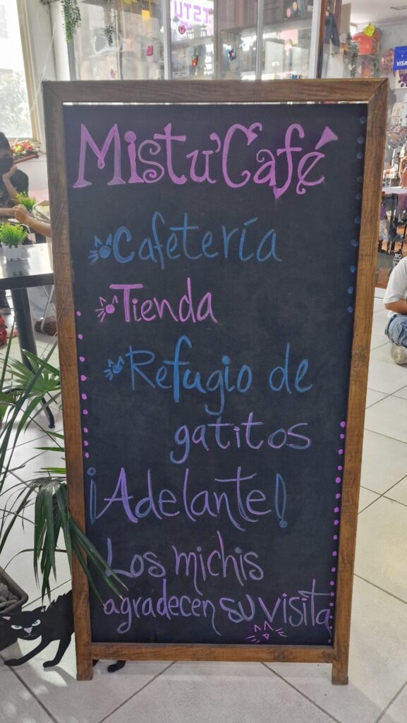 Cafe Mistu