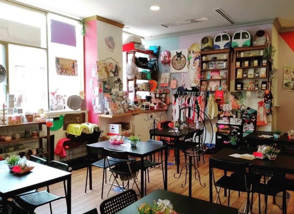 cat cafe Mexico City
