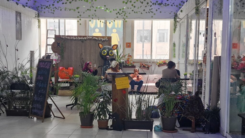 Cat Cafe Mistu