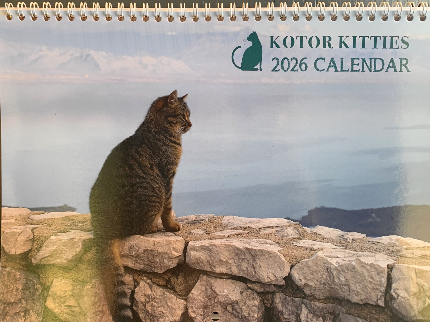 Kotor Kitties calendar