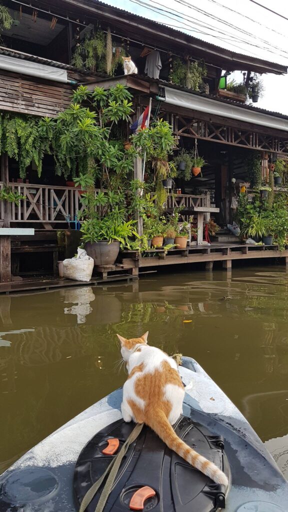Bangkok boat tour