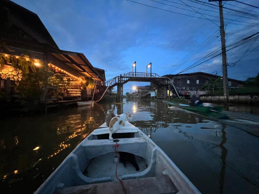 Bangkok boat tour by night