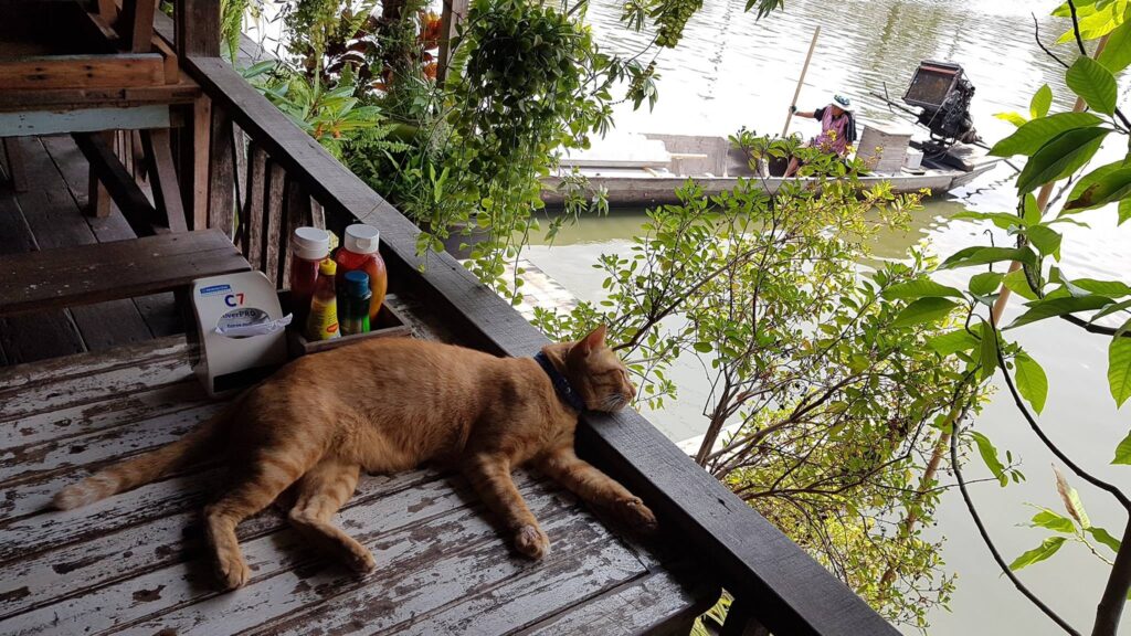 Bangkok unique experience