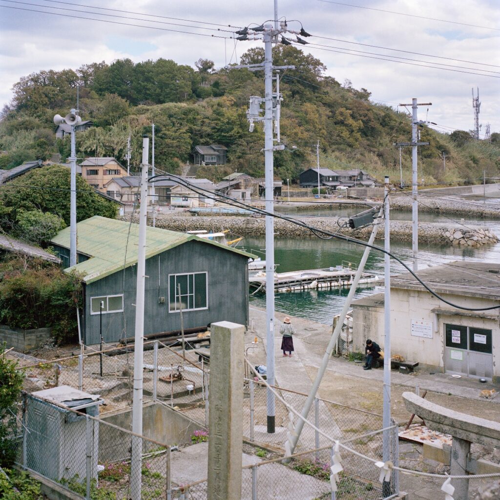 cat island disappearing