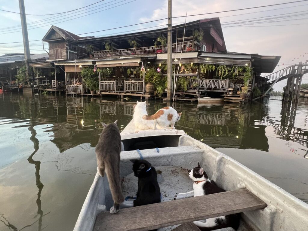 hidden boat tour Bangkok