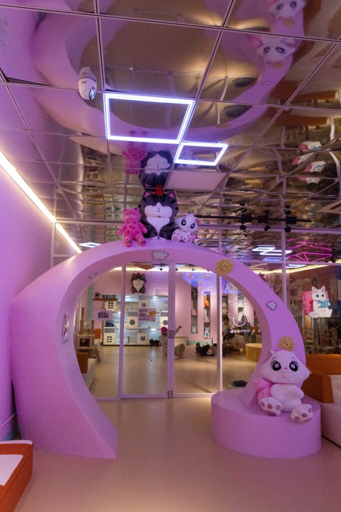 Cat cafe of Blue Zoo Beijing (Gongti Richina Underwater World)