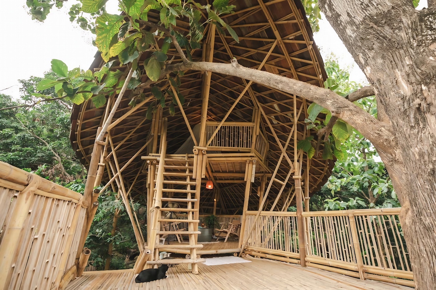 Chiang Mai treehouse